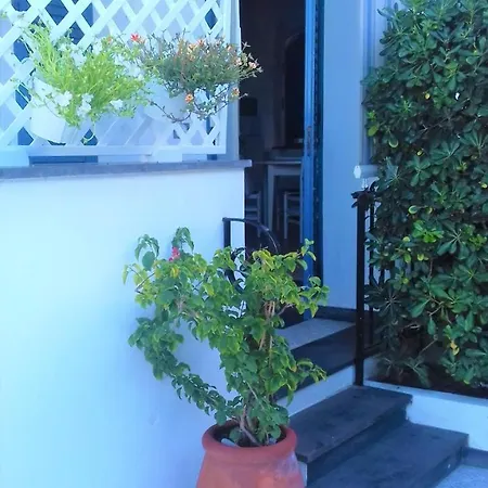 Appartement Mistral *